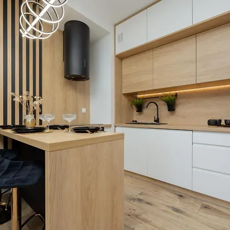 Herbu Oksza Elegant With Parking By Renters 아파트 *