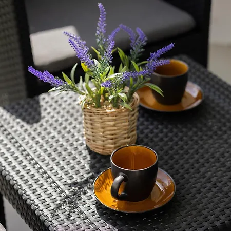 Herbu Oksza Elegant With Parking By Renters 华沙